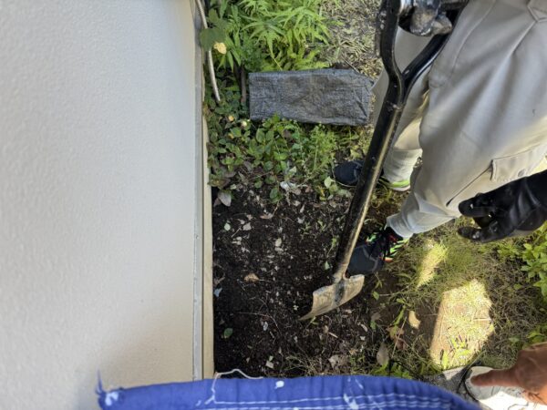 雑草を抜いたので、早速給水管を探します。