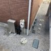 浄水器設置完了。スペースも広く、設置作業にはもってこいの現場でしたね。